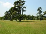 2006-0608-1236-47.jpg